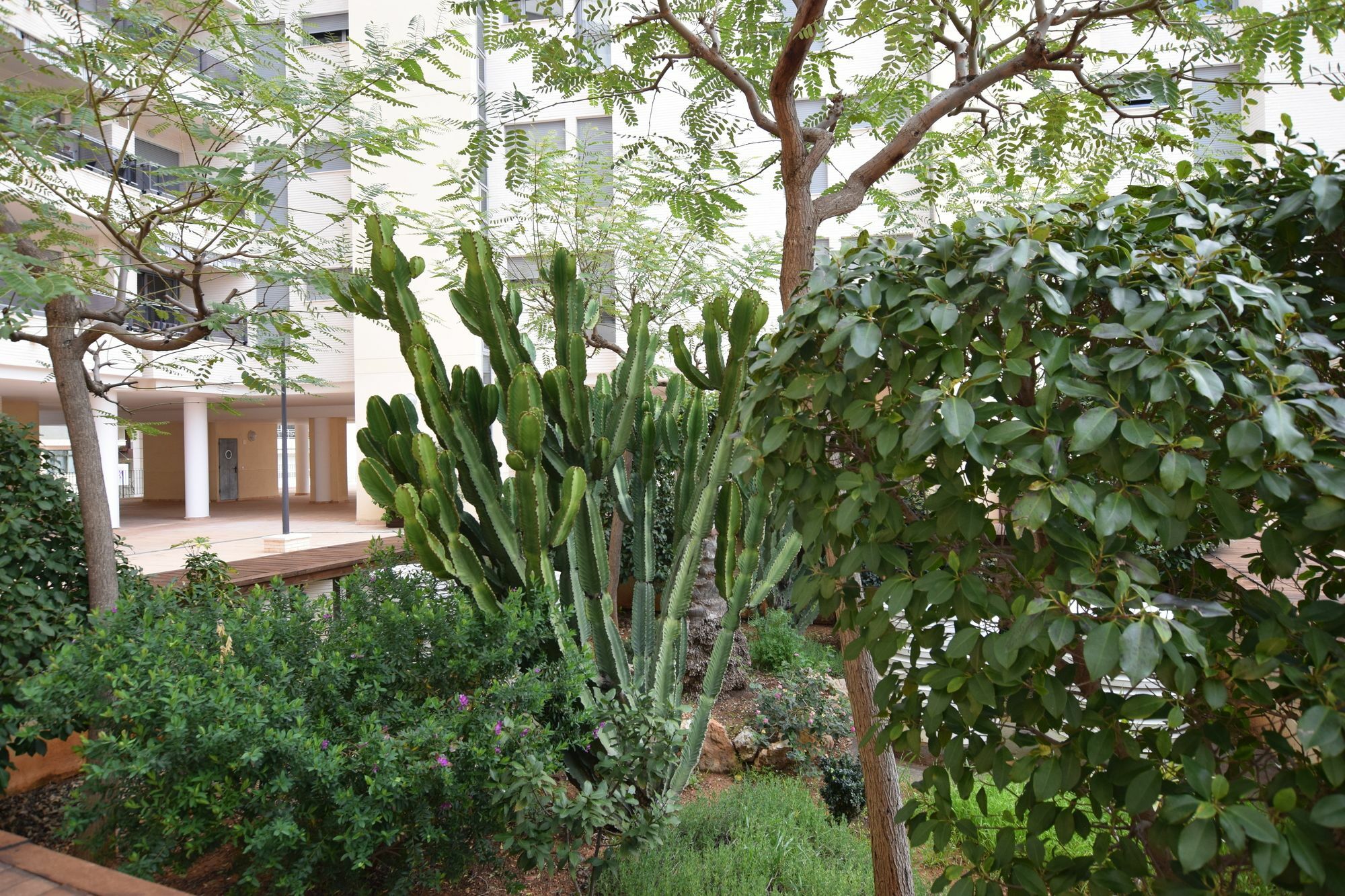 Plaza Mayor 2 Bedroom Apartment Calpe Bagian luar foto